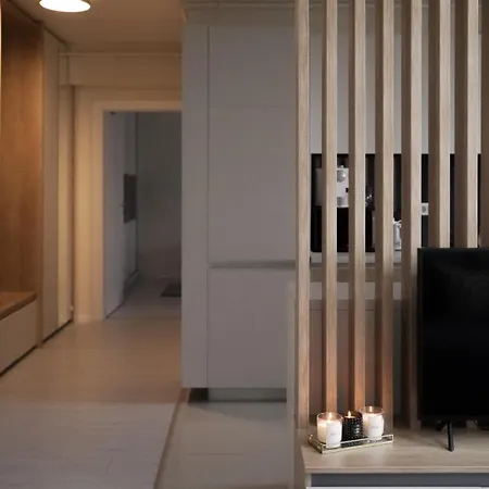 Skyline Loft - Premiere Hospital - Private Parking * Temešvár